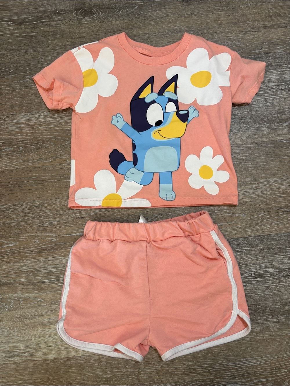 3T Bluey 2pc short set